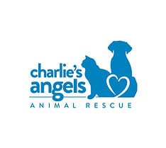 Charlie’s Angels Animal Rescue